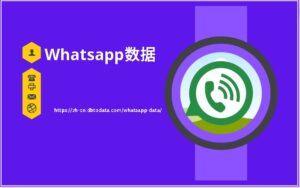 Whatsapp数据